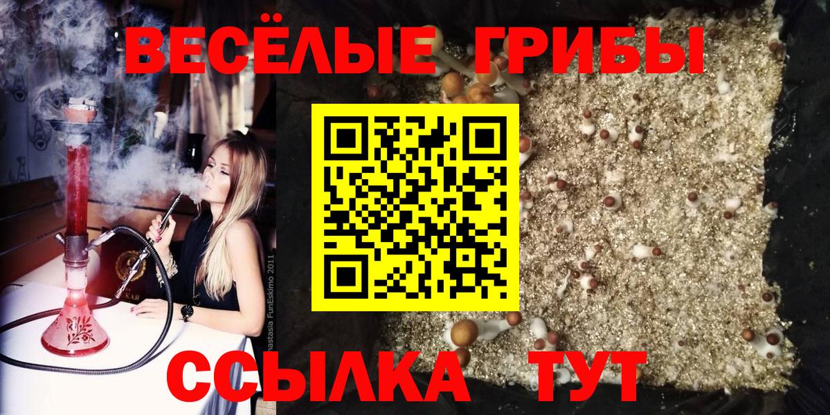 Златоуст  Галлюциногенные грибы мицелий  Вход с VPN  Псилоцибиновые грибы мицелий 